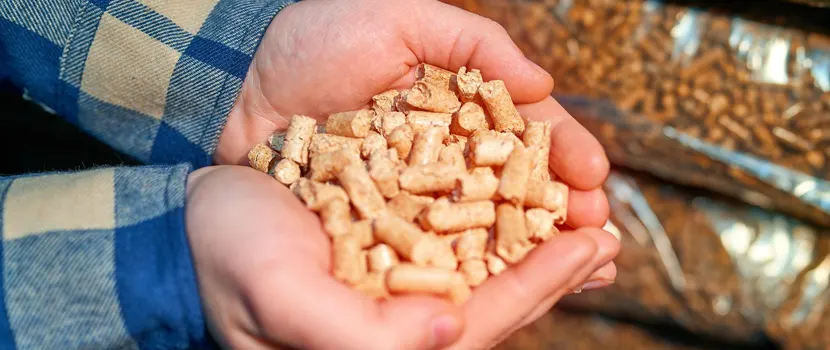 Advantages vs disadvantages of Biomass Pellets