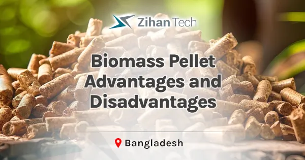 Biomass pellet advantages and disadvantages 