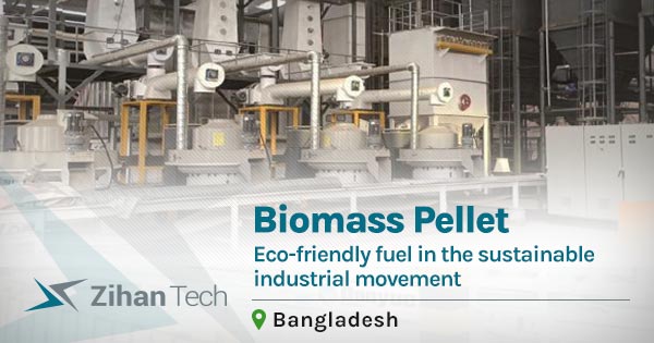 Biomass pellet: Eco-friendly fuel in the sustainable industrial movement