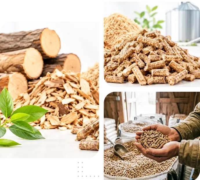 Best biomass pellet supplier in Dhaka, Bangladesh