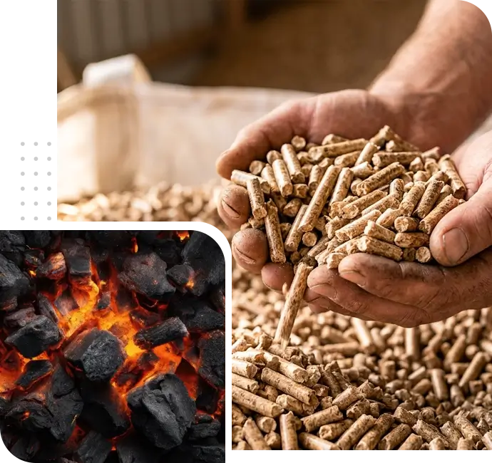 Biomass pellets and briquettes for industrial fuel use