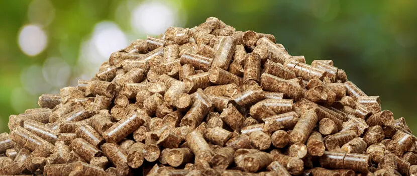 Biomass Pellet business in Bangladesh
